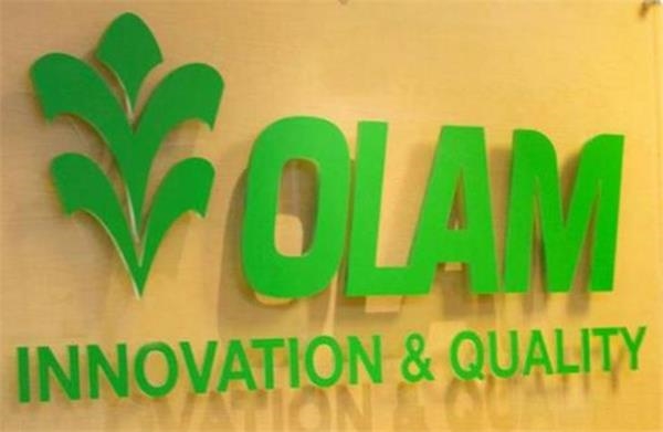 Olam 2.75Ԫչǹ