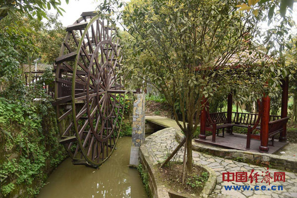 【锦绣中国长江行】重庆故乡产区再展活力 谱写生态确立新篇章