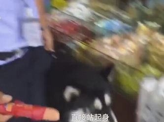 ̫Ȱ˹Ȯвյ ûȳ㶨
