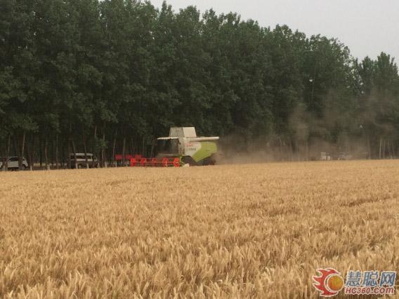 ͼ1-CLAAS TUCANO 570ոչ