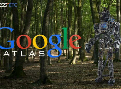 ķΪҪչе˹˾